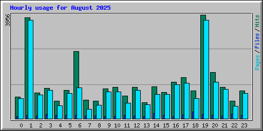 Hourly usage for August 2025