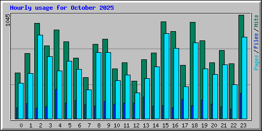 Hourly usage for October 2025