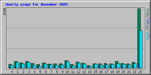 Hourly usage for November 2025
