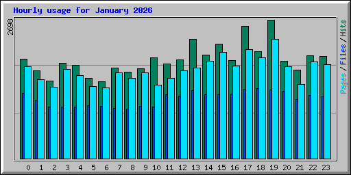 Hourly usage for January 2026